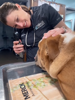 Dog Emergency Care